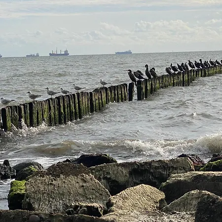 Apartment I - Z Parkingiem