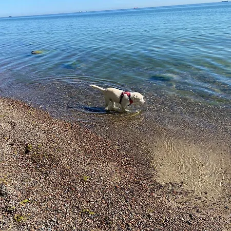 I - Z Parkingiem Apartment *