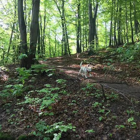 I - Z Parkingiem * Гдыня