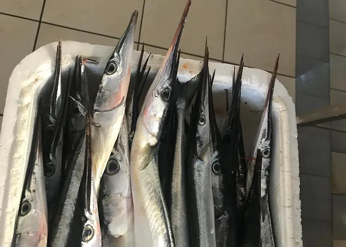 Apartmán I - Z Parkingiem *