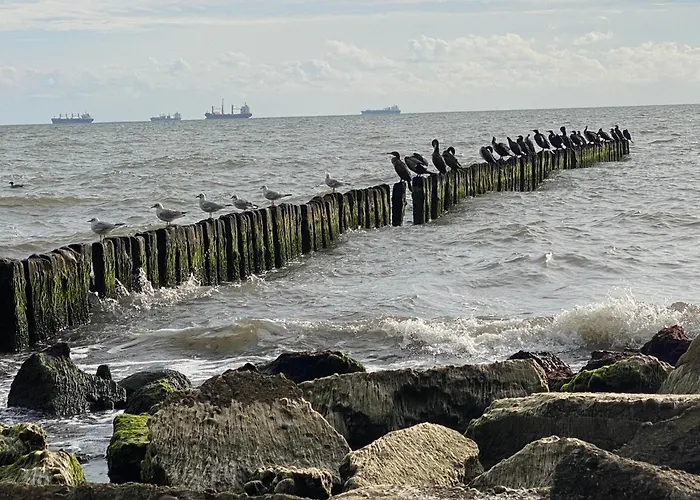 Apartmán I - Z Parkingiem