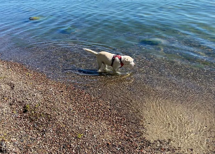 I - Z Parkingiem Apartamento *