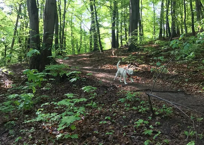 I - Z Parkingiem * Gdyně